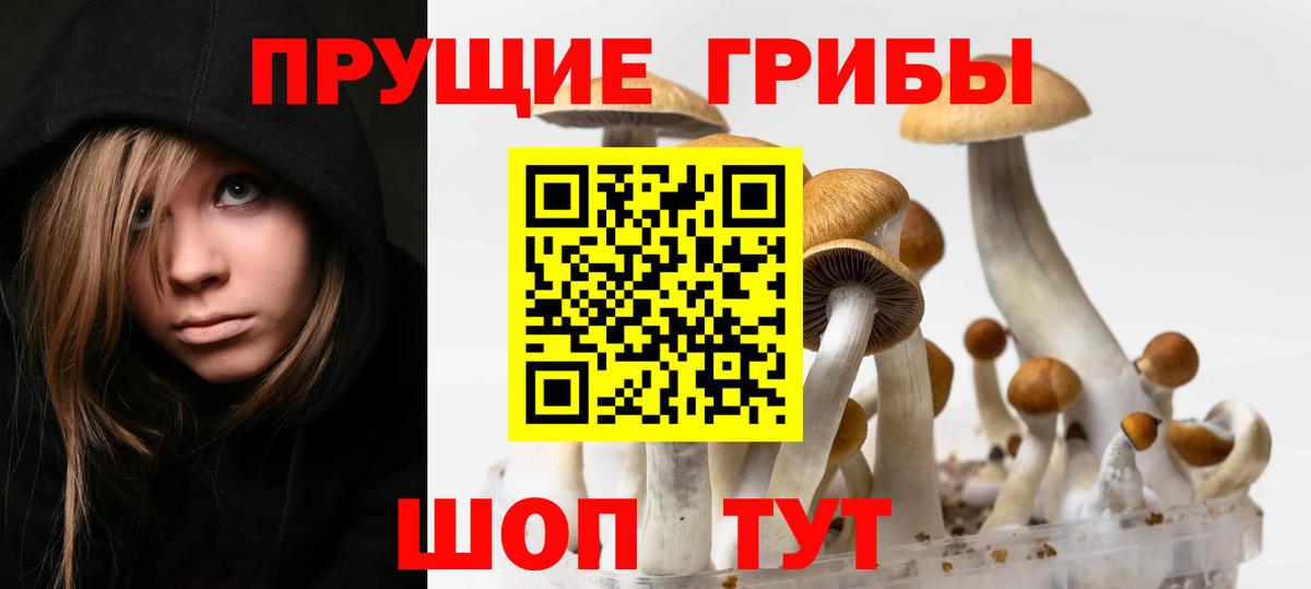 Галлюциногенные грибы Psilocybine cubensis  Псилоцибиновые грибы Magic Shrooms  Шумерля  Вход с VPN 